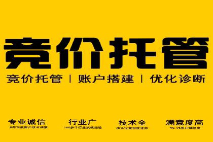 百度竞价排名案例分享：广告投放的技巧与误区